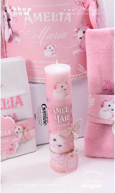 Trusou botez Pisicile Aristocrate cu fluturi mov si roz 4